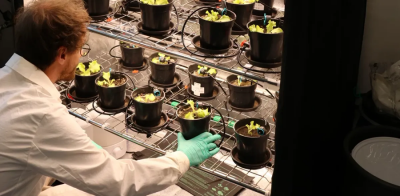 HUMIFY – TOPRAK İÇİN SÜPER BESİN