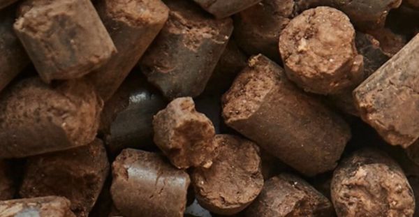 Atık kağıtlardan biyodizel üretmek